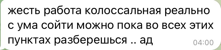 Сообщение клиентки до начала работы: работа колоссальная, с ума сойти можно, пока во всех пунктах разберёшься